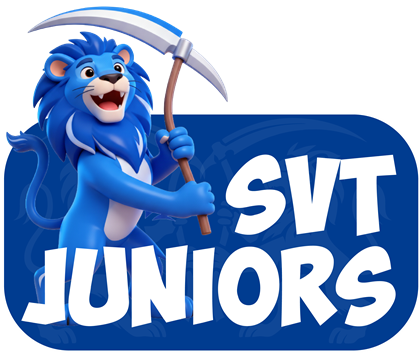 SVT Juniors HD