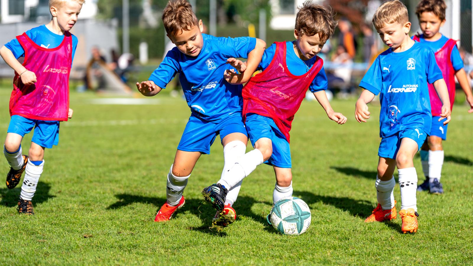 U7/U8-Turnier 2026