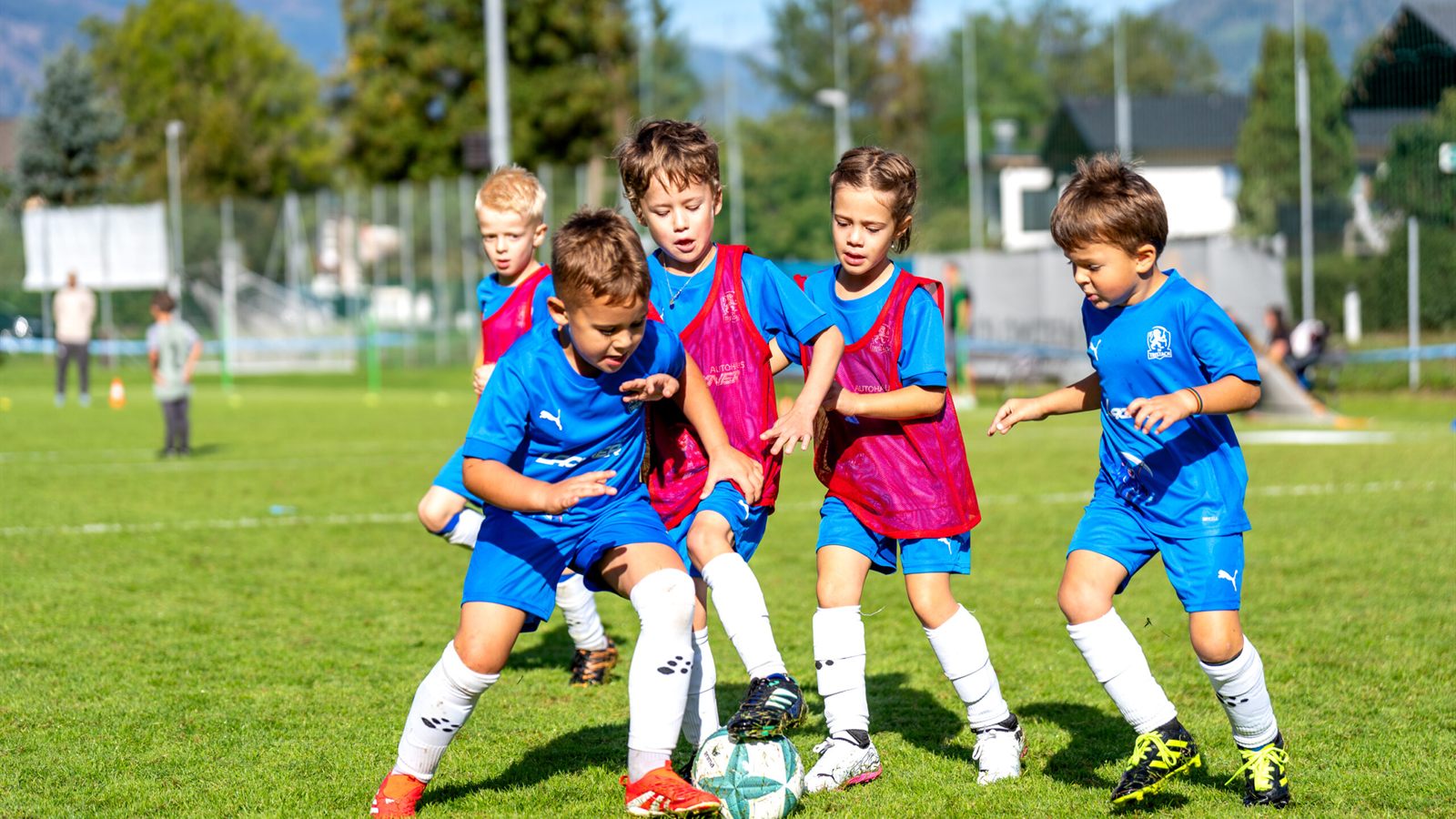 U7/U8-Turnier 2026