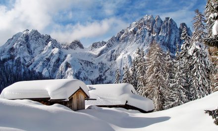 Frohe Weihnachten und an guten Rutsch