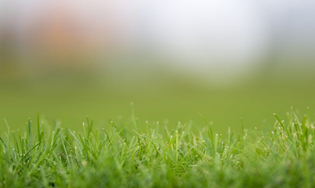 Spiele 01.08.2022 – 07.08.2022