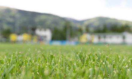 U15-Elite Tristach : Völkermarkt 5:2 (2:2)